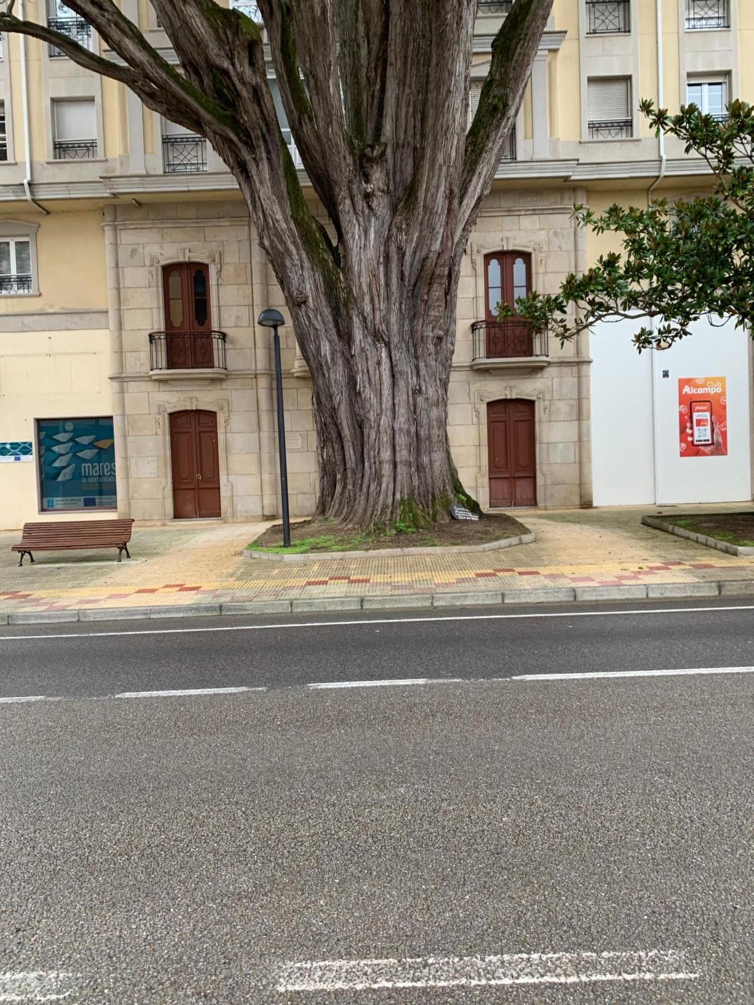Mansion Del Indiano Lägenhet Viveiro Exteriör bild